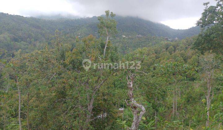 Land for Sale Munduk Location 1