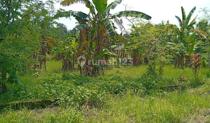 Tanah Jual Lokasi Sanggulan 1