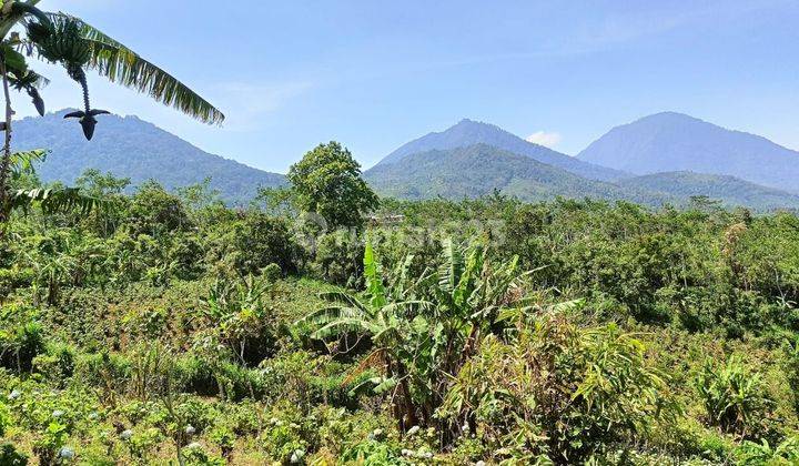 Land for Sale Munduk Location 1