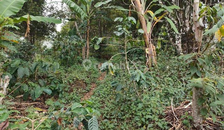 Tanah Jual Lokasi Gobleg 1