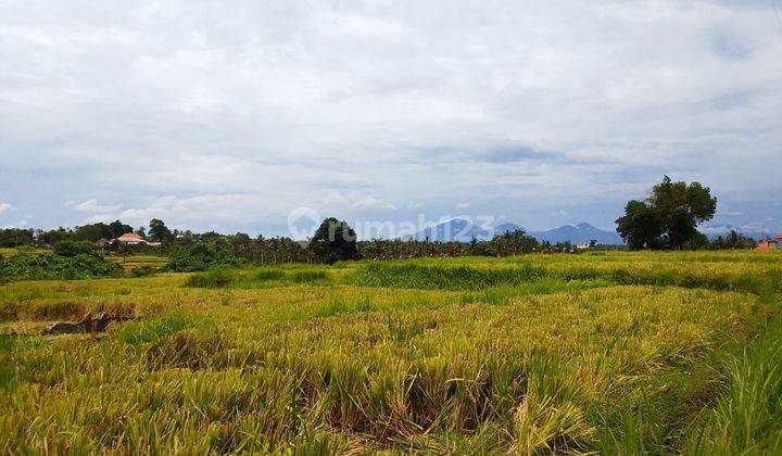 Tanah Jual Lokasi Kemenuh 2