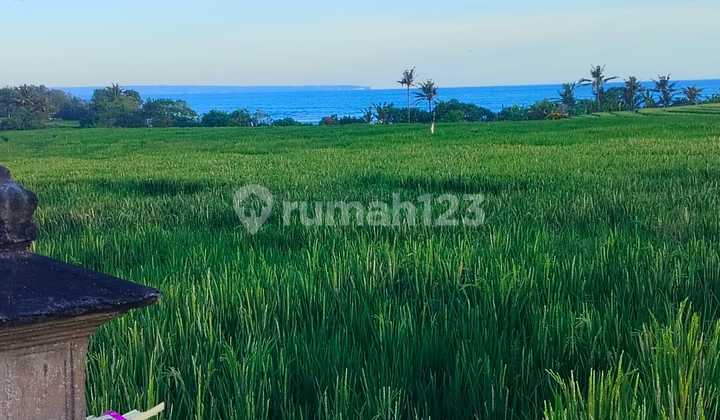 Tanah Jual Lokasi Pasut Tanah Jual Lokasi Pasut