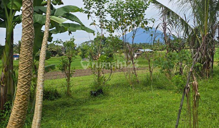 Tanah Jual Lokasi Pejeng 1