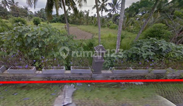 Land for Sale in Kedewatan Location Land for Sale in Kedewatan Location