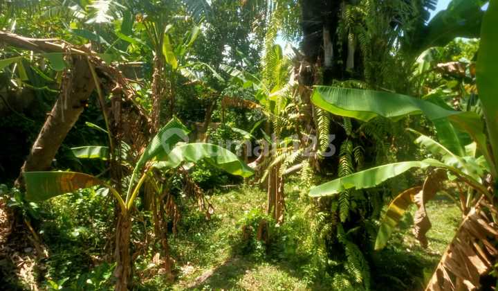 Tanah Jual Lokasi Antasura Tanah Jual Lokasi Antasura