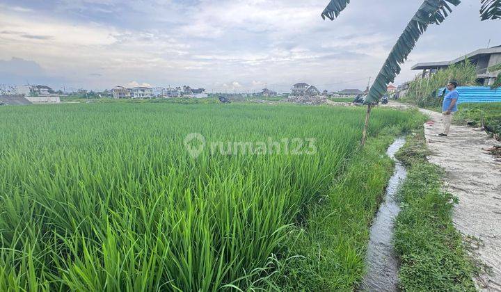 Tanah Jual Lokasi Cemagi 2