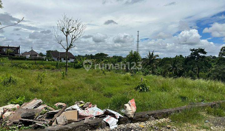 Tanah Jual Lokasi Nyanyi 1