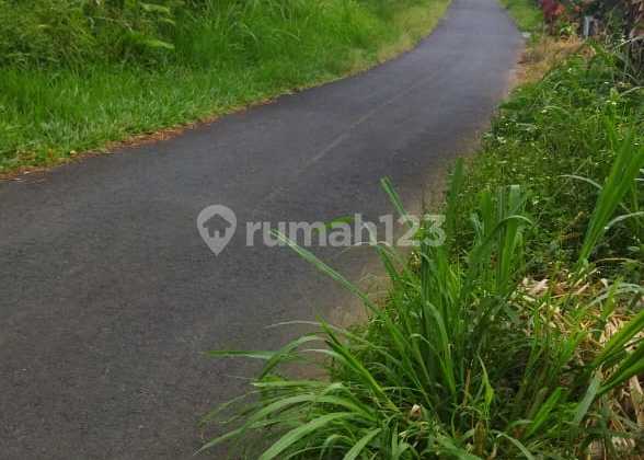 Tanah Jual Lokasi Wanagiri