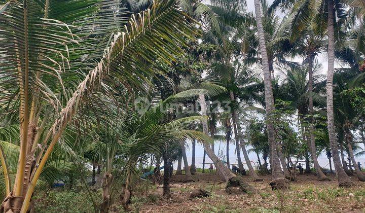 Tanah Jual Lokasi Tejakula 1