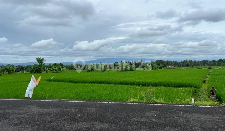 Land for Sale in Pangkung Tibah Location Land for Sale in Pangkung Tibah Location