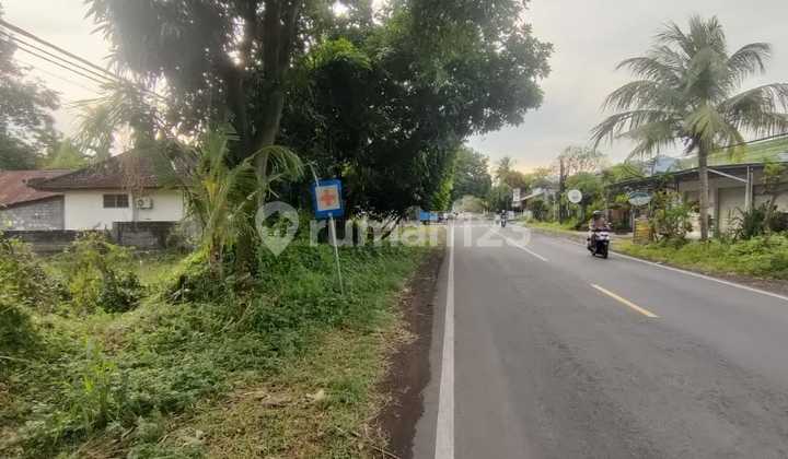 Land for Sale in Gerokgak Location