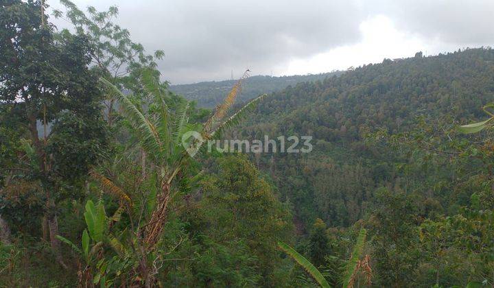 Land for Sale Munduk Location 2