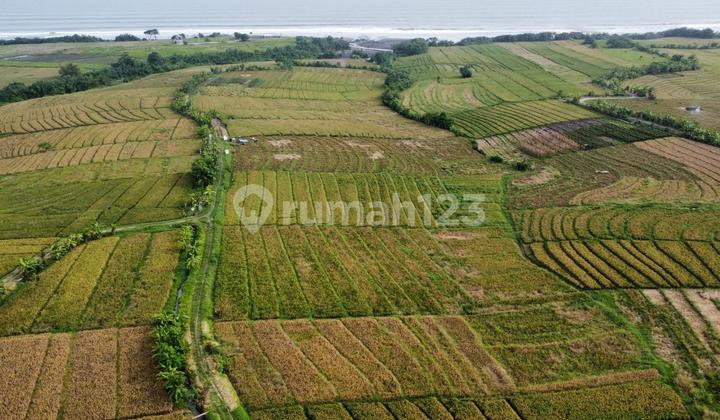 Tanah Jual Lokasi Pasut