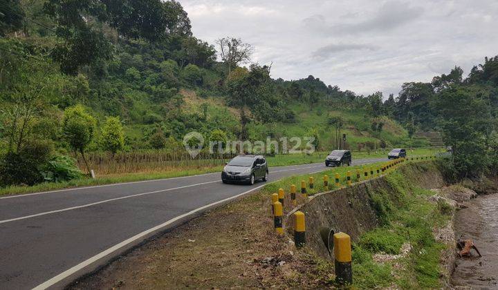Tanah Luas Di Brigjen Abdul Manan Wijaya Malang Batu(NJ461) 2