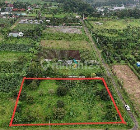 Tanah Kavling Hook Di Villa Navy Residence Ketindan Lawang(NJ396) 2