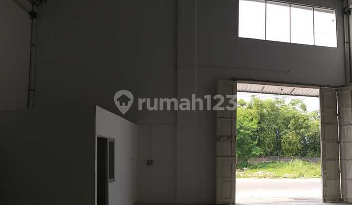 Warehouse Dkp1 Ready to Use