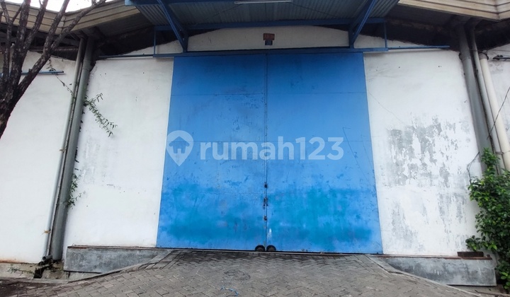 Warehouse Ready to Use Mezzanine + Office + Toilet