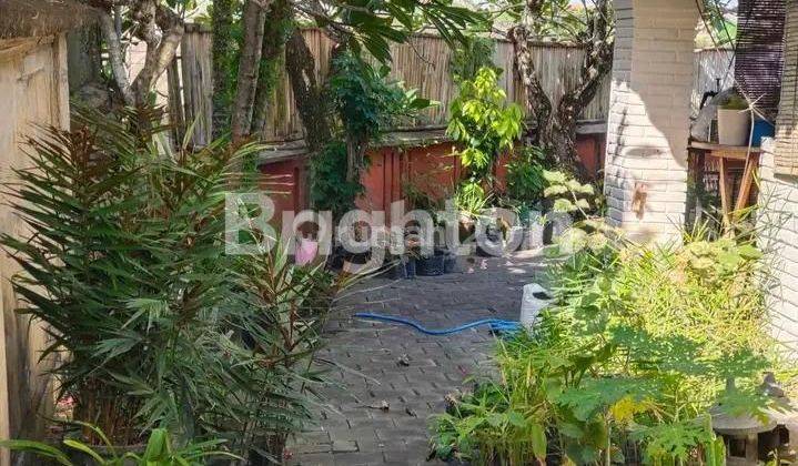 RUMAH LUAS NUANSA TROPIS KLASIK BADUNG 1