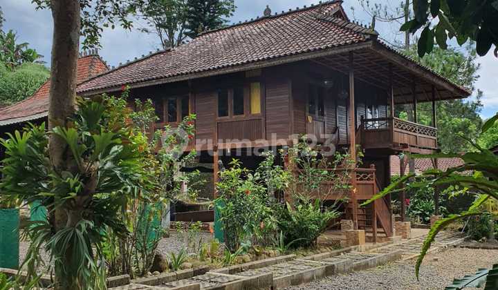 Dijual Villa Artistik di Mega Mendung