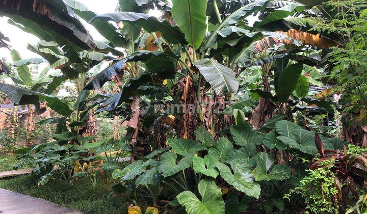 Dijual Tanah Kavling Siap Bangun 240m2 Di Kalimalang Pekopen Lambangjaya Tambun Bekasi 1