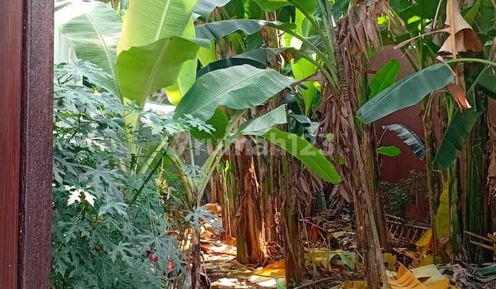 Dijual Tanah Kavling Badan Siap Bangun Luas 160m2 Di Bima Duta Kawasan Grand Wisata Akses Tol Tambun Bebas Banjir Kota Legenda Bekasi