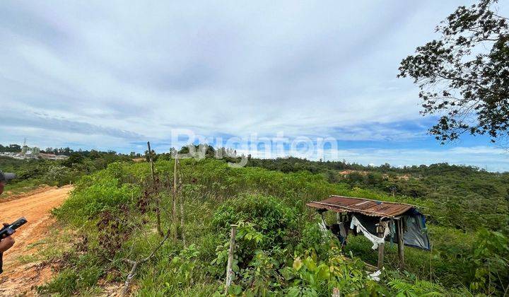 Dijual Tanah SHM di Kawasan Industri Kariangau, masuk 80 meter dari Jalan Raya Akses TPK Kariangau 2