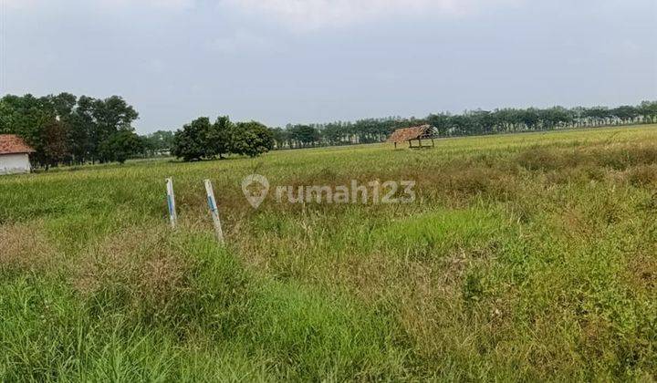 Tanah Murah Pinggit Tol Cipali Palimanan Km 150 Majalengka 2