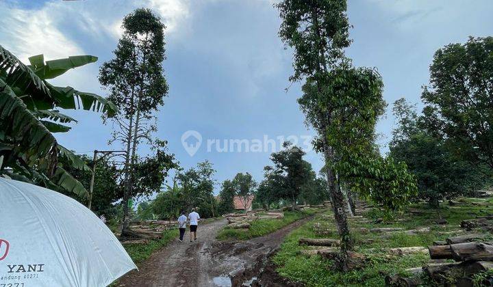 Tanah Luas di Cikalongwetan Kabupaten Bandung Barat 1