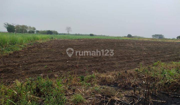  Tanah Luas Strategis di Ujung Jaya Dekat Exit Tol Cisumdawu 1