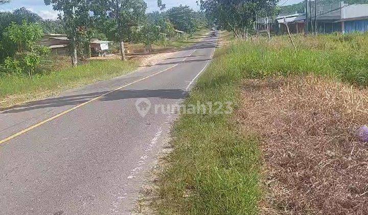 Tanah SHM Lokasi Strategis di Pangkalan Lada, Kotawaringin Barat 2