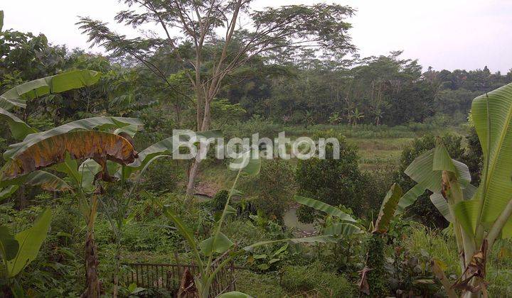 TURUN HARGA DIBAWAH 900 JT Tanah Kosong di dekat Ring Road Magelang cocok untuk Rumah Makan / kebun / villa (view Gunung Merapi dan Sungai Elo) 2
