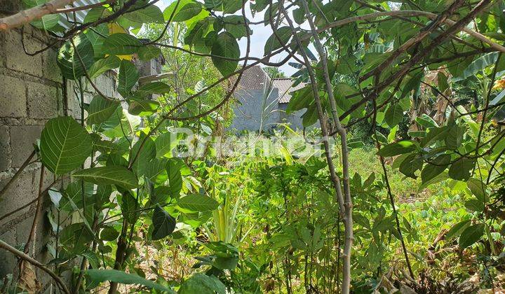 Tanah Kosong Diseputaran Gunung Putri, Cocok Untuk Dibuat Rumah Tinggal 2