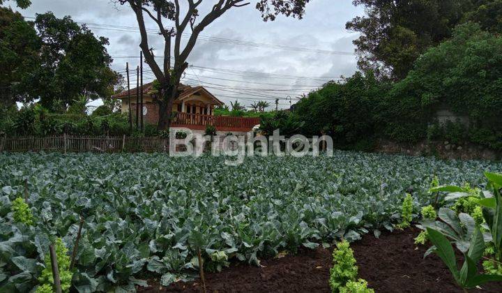 Di  Tanah Kosong Di Kolonel Masturi Bandung Cocok Untuk Kebun / Tempat Istirahat 2