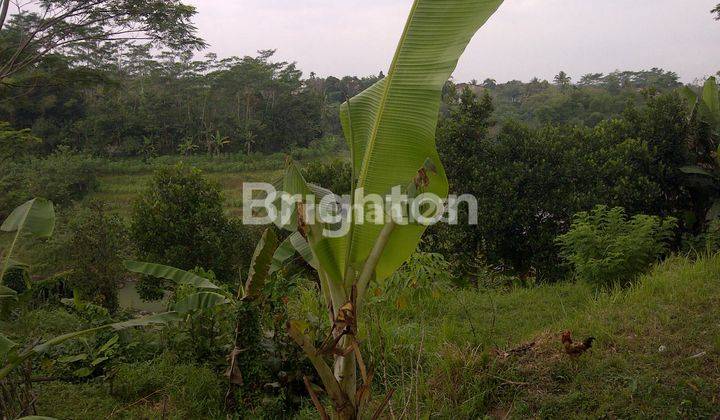 Tanah Kosong Di Dekat Ring Road Magelang Cocok Untuk Rumah Makan / Kebun / Villa (view Gunung Merapi Dan Sungai Elo) 1