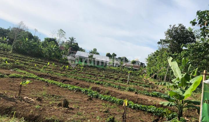 Tanah Siap Bangun Cocok di Jadikan Dapur Mbg