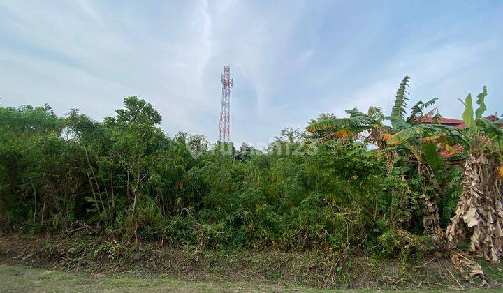 Dijual Tanah di Simpang Baru Dekat Universitas Riau Bisa Nego 1