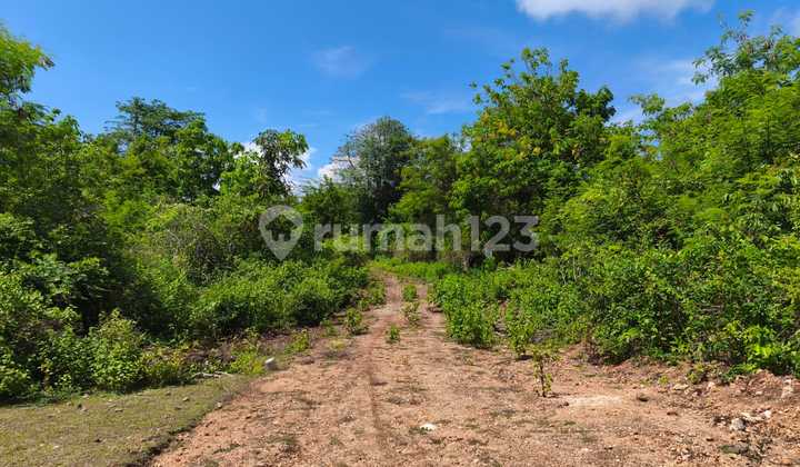 Termurah Tanah di Gayang Sari Kutuh Nusa Dua Dekat Pantai Pandawa Termurah Tanah di Gayang Sari Kutuh Nusa Dua Dekat Pantai Pandawa