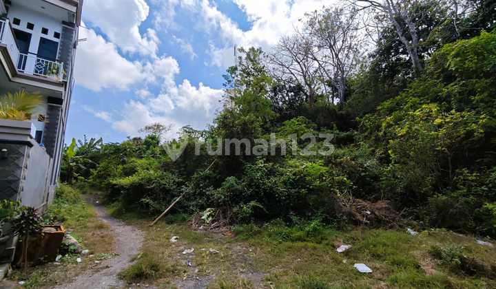 Tanah Termurah Di Nusa Dua Kampial Dekat Poltekpar Nusa Dua Tanah Termurah Di Nusa Dua Kampial Dekat Poltekpar Nusa Dua