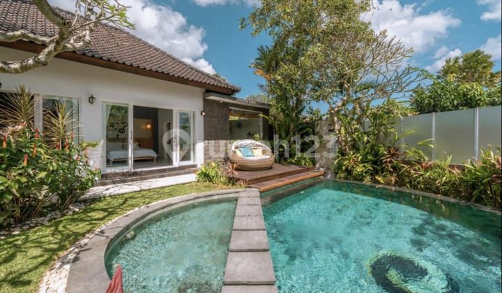 Profitable Investment in Berawa! Earn Passive Income from Villa Rentals Profitable Investment in Berawa! Earn Passive Income from Villa Rentals