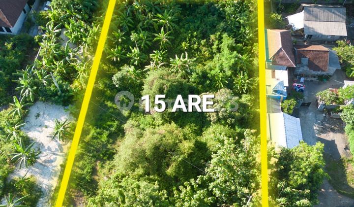 Tanah Lingkungan Villa Jalan Gunung Payung Dekat Pantai Pandawa Tanah Lingkungan Villa Jalan Gunung Payung Dekat Pantai Pandawa