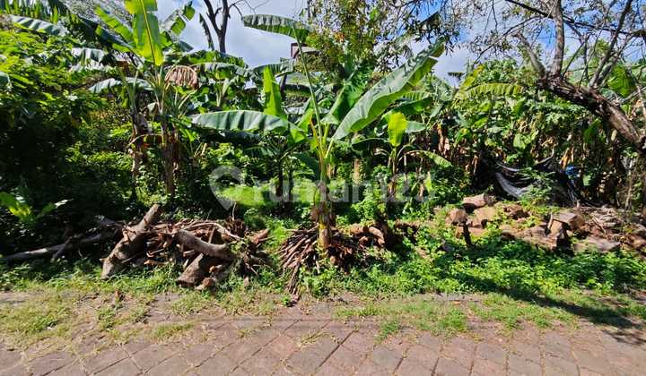 Tanah Strategis di Gedong Sari Nusa Dua Area Villa Dekat Bypass