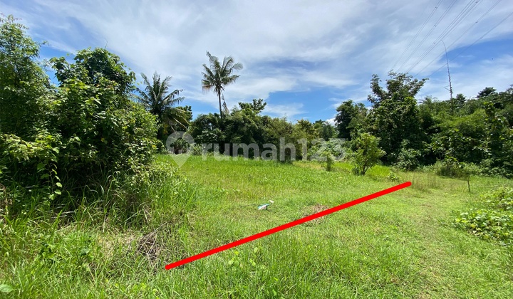 Tanah Murah di Lovina Lingkungan Villa Dekat Pantai Lovina