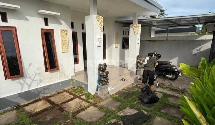 New Cheap House on Jl. Gunung Payung Near Pandawa