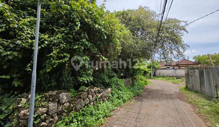Tanah Murah di Jimbaran Dekat Raya Uluwatu & Sidewalk Jimbaran Tanah Murah di Jimbaran Dekat Raya Uluwatu & Sidewalk Jimbaran