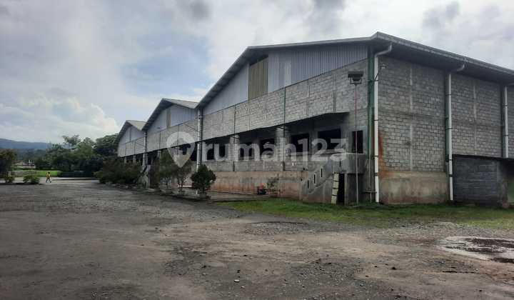 Central Java Plywood Wood Factory in Batang 4.1 Ha