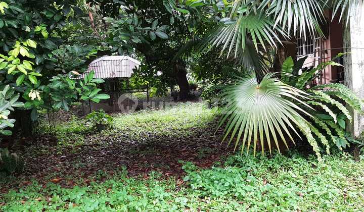 Dijual Rumah Tua di Lebak Bulus 2