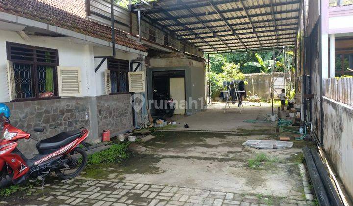 Rumah Asri Dengan Halaman Luas Di Tengah Kota Jember 2