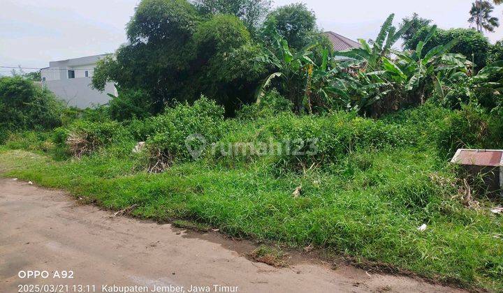 Tanah Siap Bangun Di Perumahan Mojopahit Jember 2