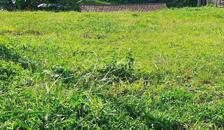 Tanah Pinggir Jalan Propinsi Di Pusat Kota Jember 2