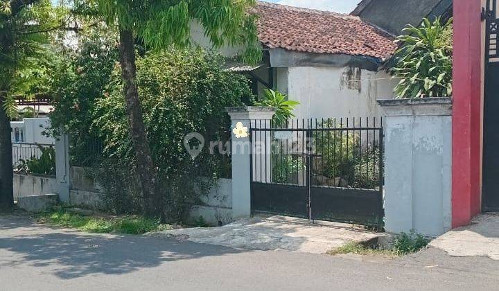 Tanah Strategis Di Tengah Kota Jember 1